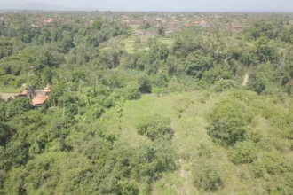 Peta lokasi tanah dijual di pinggir jalan utama dekat sentral Ubud dan Air Terjun Tegenungan