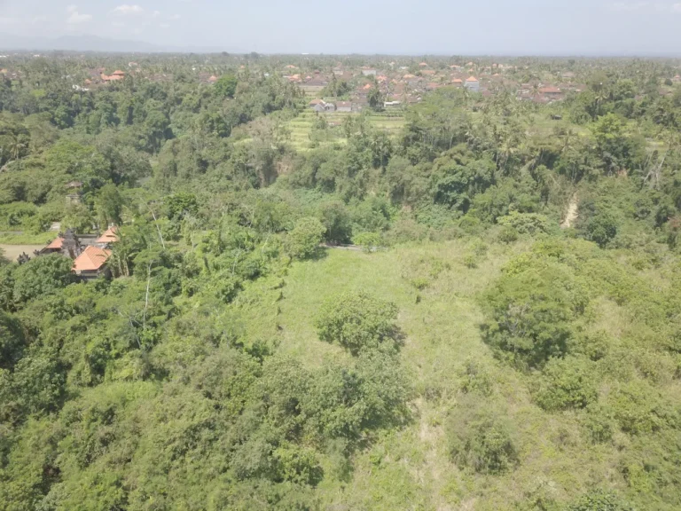 Peta lokasi tanah dijual di pinggir jalan utama dekat sentral Ubud dan Air Terjun Tegenungan