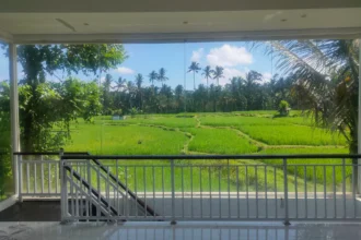 Indoor balcony with glass wall overlooking green rice fields and palm trees under a blue sky.