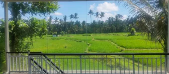 Indoor balcony with glass wall overlooking green rice fields and palm trees under a blue sky.