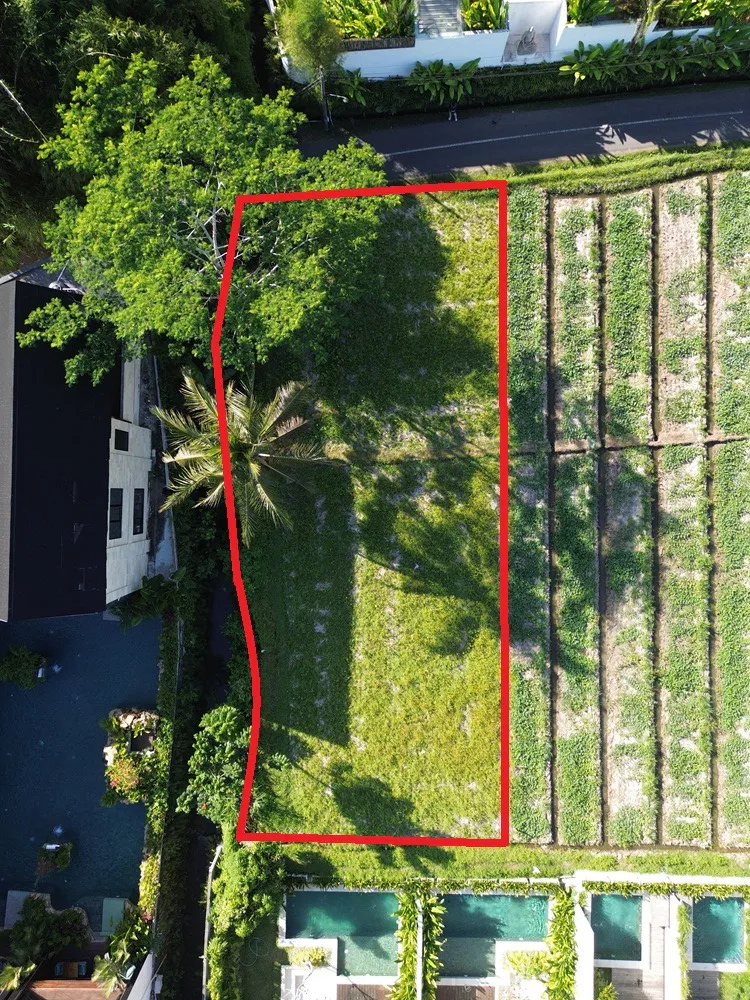 Lahan investasi properti Bali dengan pemandangan sawah alami dan sungai di Pejeng Kawan Ubud.