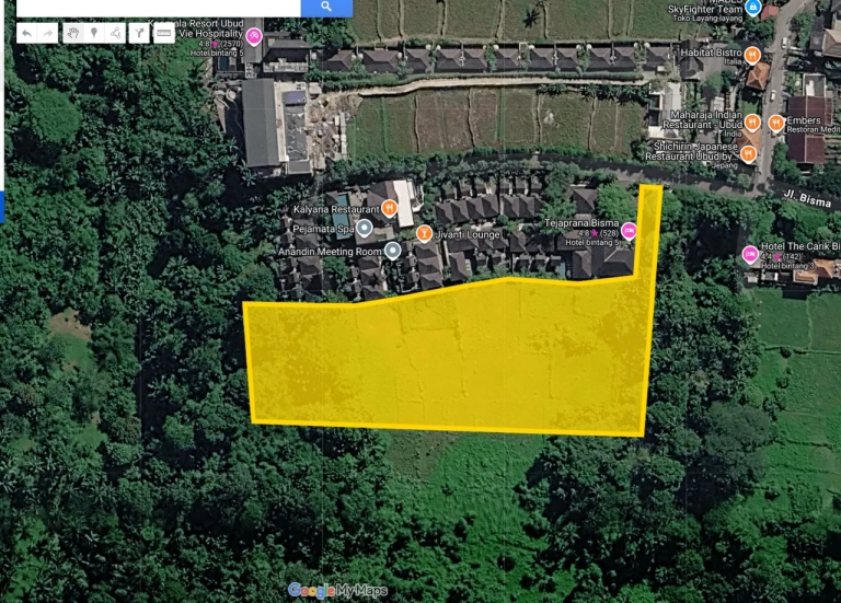 Jual Tanah jalan bisma Ubud