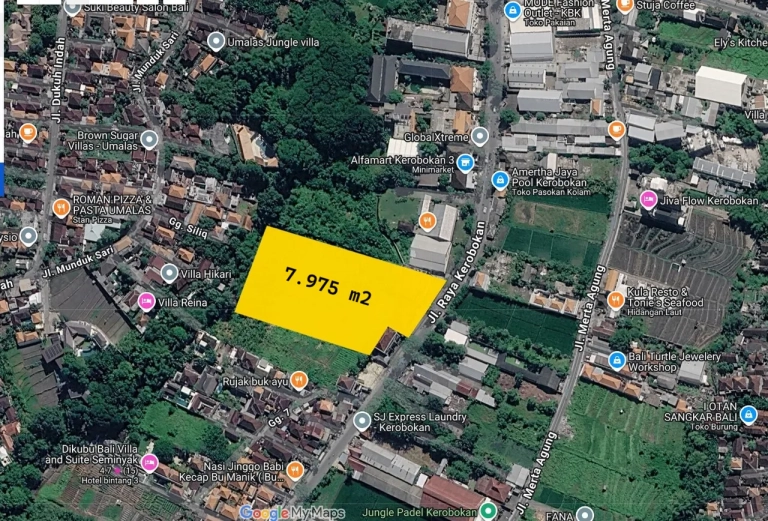 Tanah Jalan Raya Kerobokan