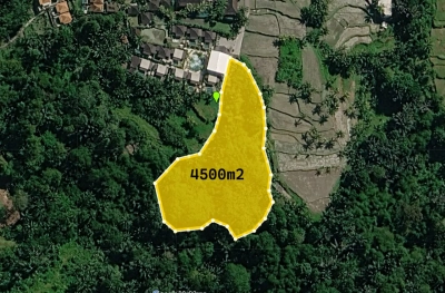 Tanah Sebatu Tegallalang 45 are