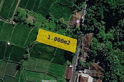 Tanah SHM strategis siap bangun di jalan raya Pujung Tegallalang